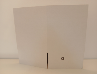 242x242x306 mm, Faltkarton weiß/braun,Sonderposten