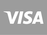 Logo Visacard